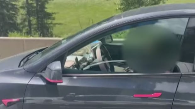 RCMP investigate Tesla driver asleep at wheel on B.C. highway, raise concerns over self-driving tech safety