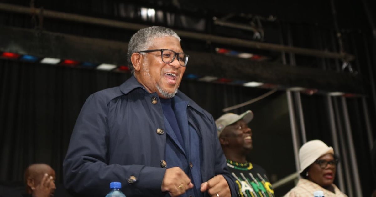 ANC's Mbalula Refuses to Apologize to EFF Over Anti-Immigration Remarks
