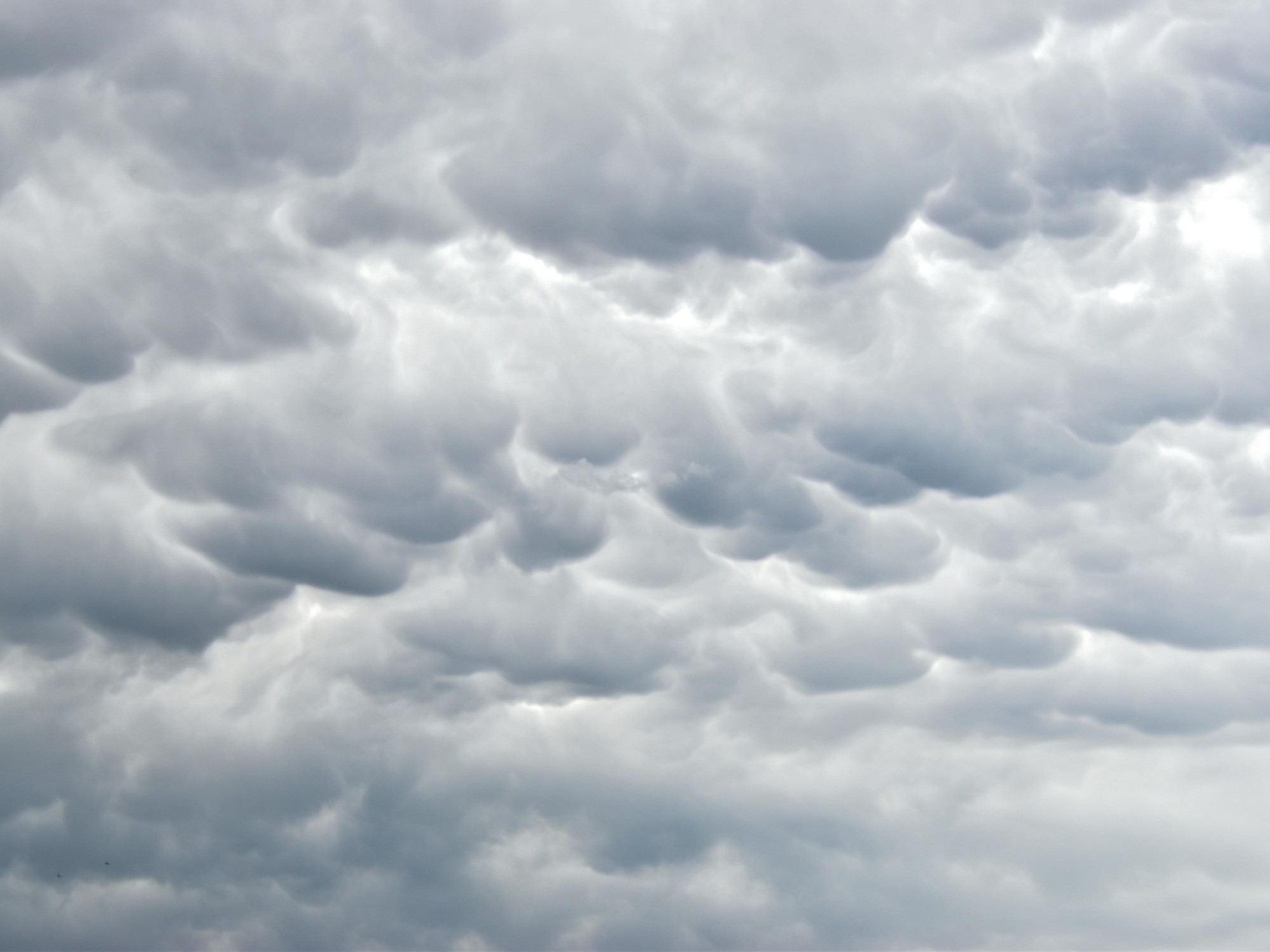 Pronóstico del clima en Punta Lara para el miércoles 8 de julio de 2026