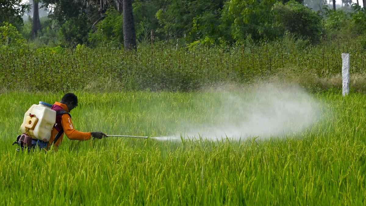 India's fragmented approach to pesticide regulation overlooks cumulative exposure risks