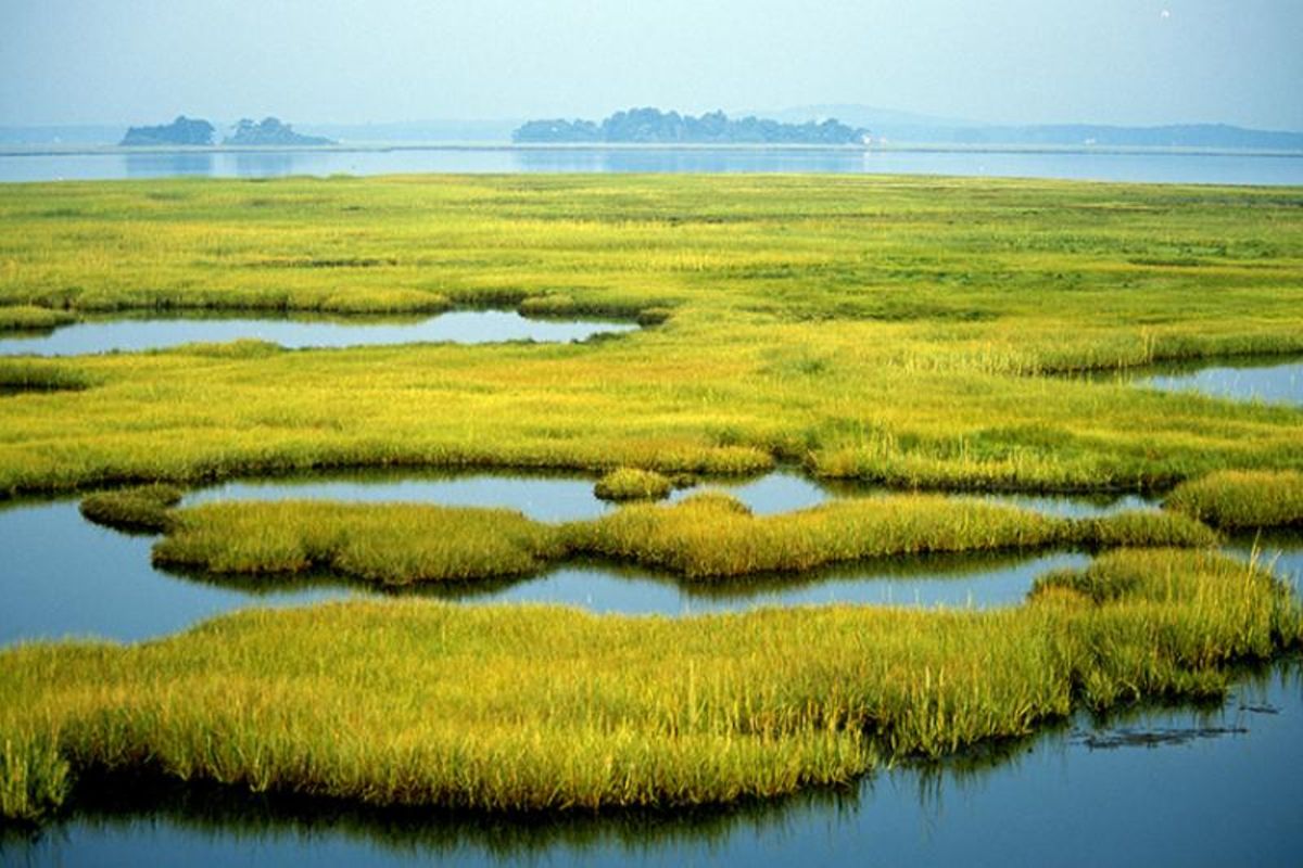 Stakeholders Propose Wetland Conservation Measures in Tanzania
