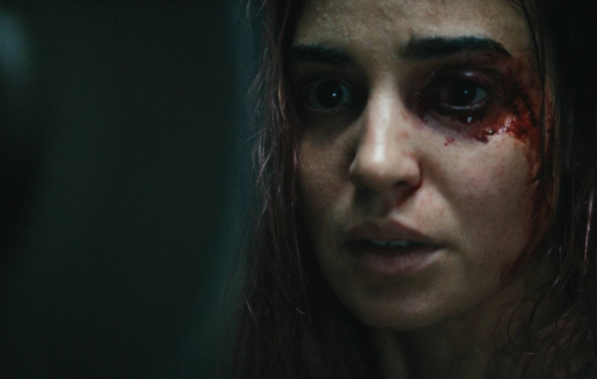 Evil Dead Burn: A Disappointing Sequel to the Franchise's Most Successful Film