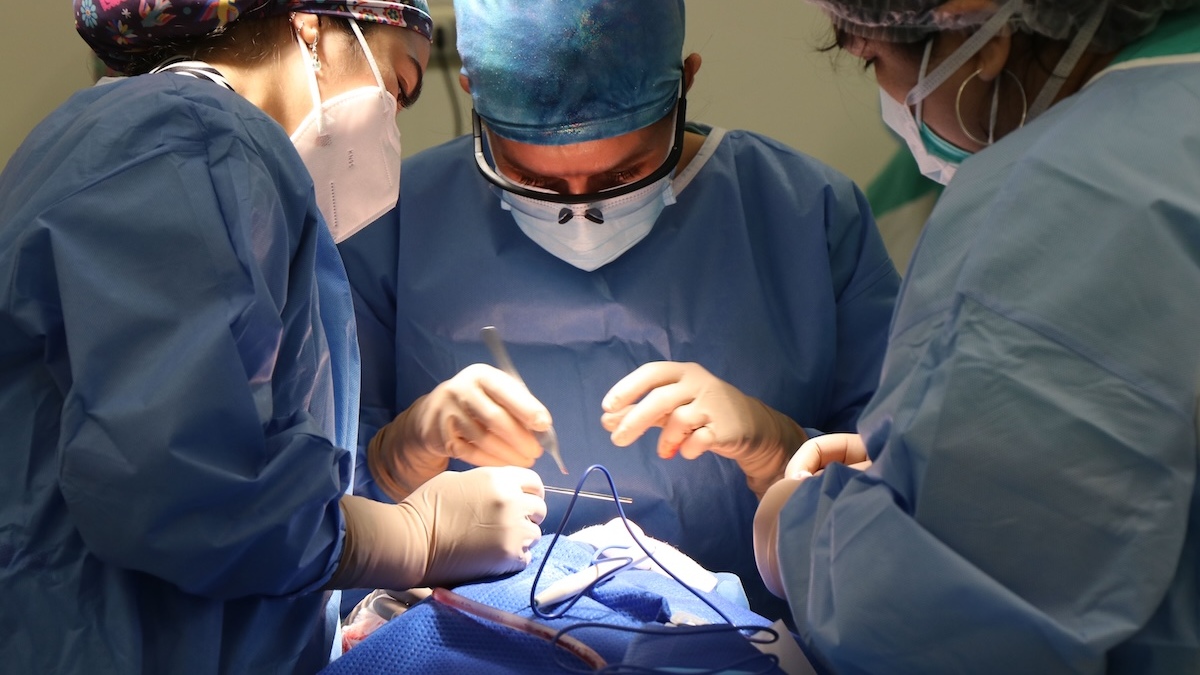 Alerta médica sobre crecimiento sostenido de pacientes con enfermedad renal crónica