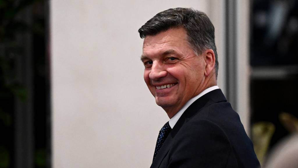 Liberal leader Angus Taylor criticizes One Nation and calls for removal of party members