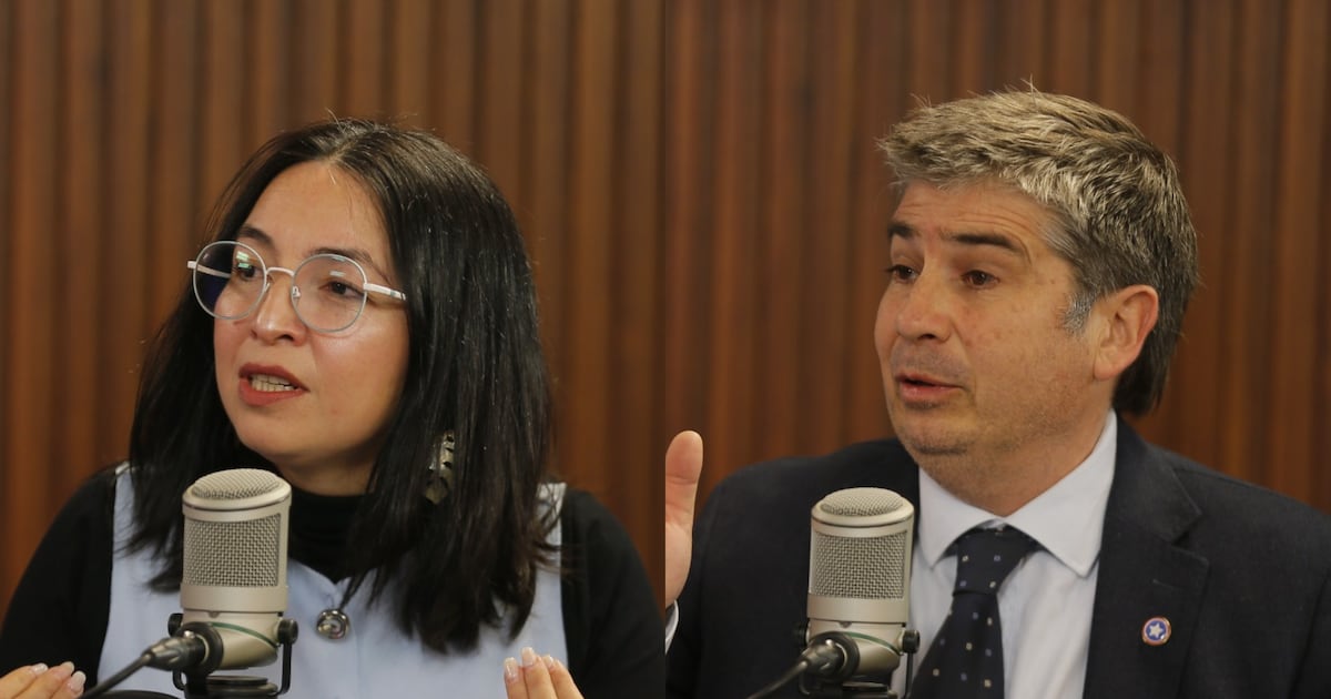 Diputada Tatiana Urrutia y diputado Diego Vergara abordan investigación sobre caso Steinert