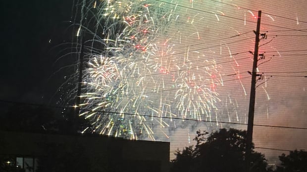 Ottawa Councillors Criticize Unannounced Canada Day Fireworks Show