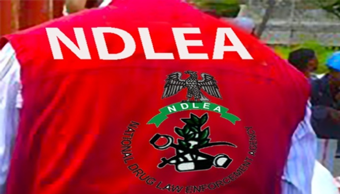 NDLEA arrests drug baron and Mexicans over N480bn meth lab
