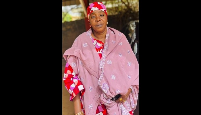 Labour Party unveils Bintu Konto as VP candidate for 2027 election, highlights her experience in public health and humanitarian work