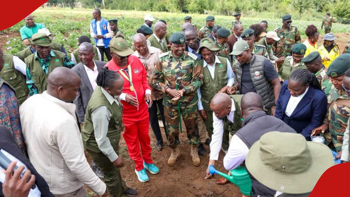 Kaptagat Forest restoration celebrates 10 years with community-led conservation success