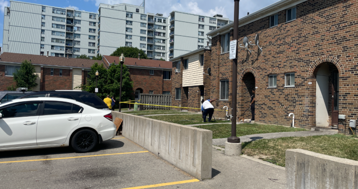 Toronto police investigate targeted shooting in North York that left one dead and two injured