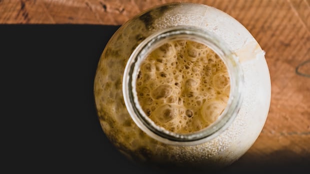 B.C. Researchers Explore Wild Yeast to Revitalize Craft Brewing Industry
