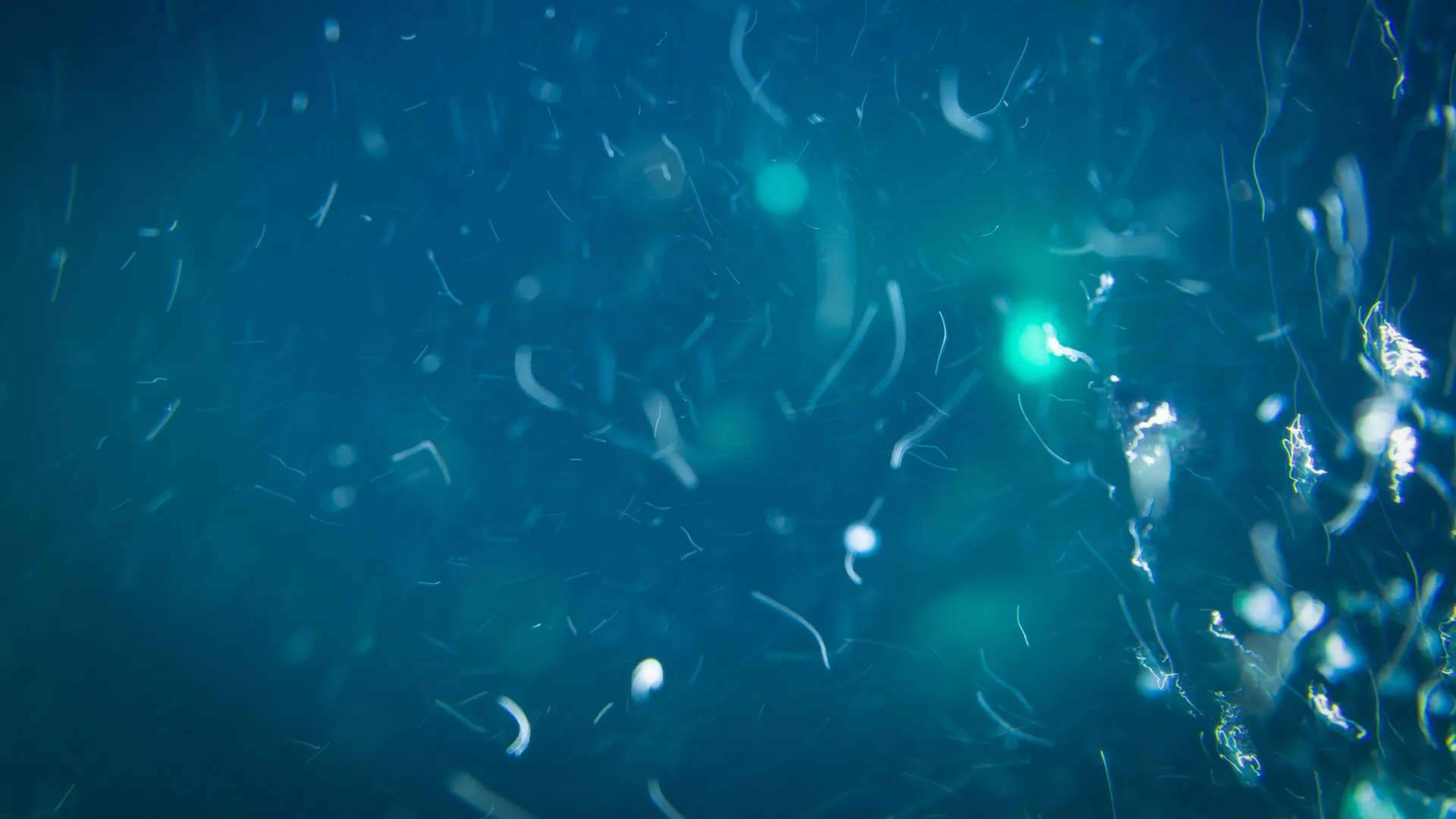 Deep-Sea Microbes Benefit from Pressure-Induced Nutrient Release