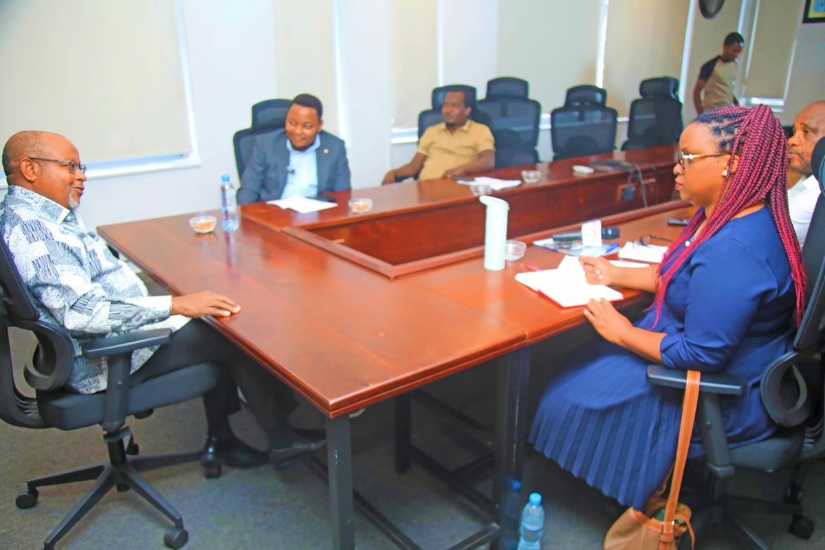Ombeni Sefue advocates for peaceful political expression and cautions against adopting foreign protest methods