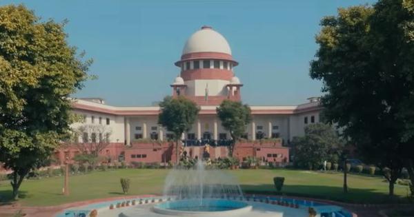 Supreme Court revises citizenship cases and suspends Tamil Nadu cow slaughter ban