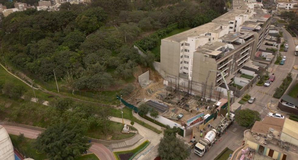Municipalidad clarifica obras en Loma Amarilla: no afectan área protegida y explica medidas de cuidado animal