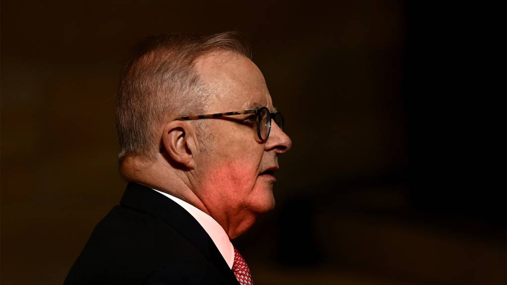 Albanese's AI Strategy Faces Challenges in National Framework Development