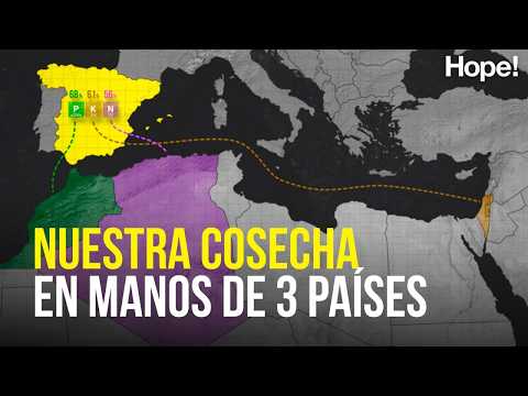 Israel, Marruecos y Argelia. La agricultura regenerativa tiene que subir a primera división.