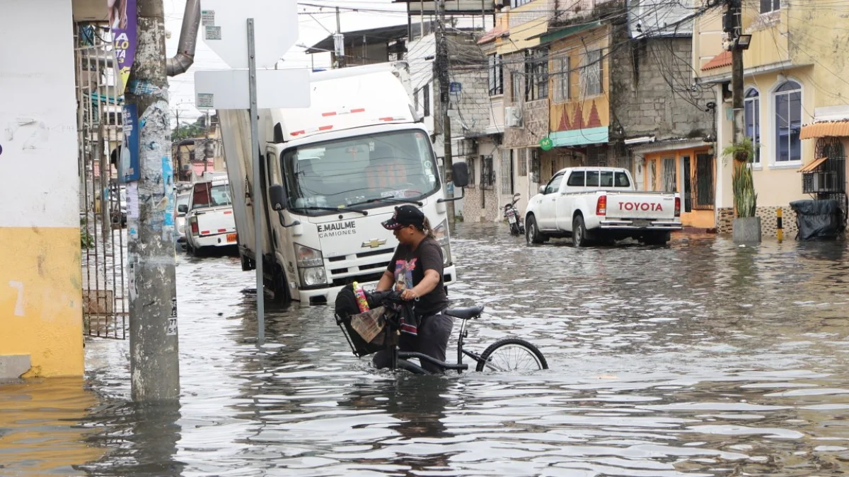 Guayaquil implementa obras de drenaje en Sauces 6 para mitigar riesgos de inundaciones