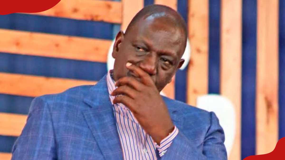 Senior Counsel Advises Ruto to Avoid Mt Kenya Running Mate After UDA's By-Election Loss