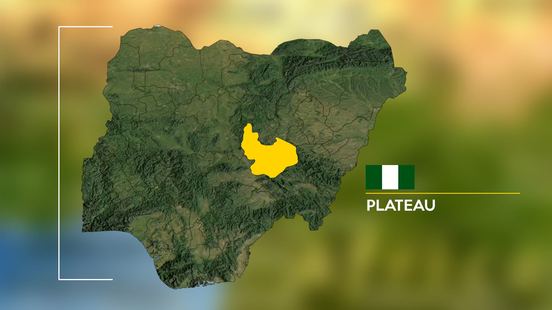 Plateau attack leaves eight cattle dead, several injured