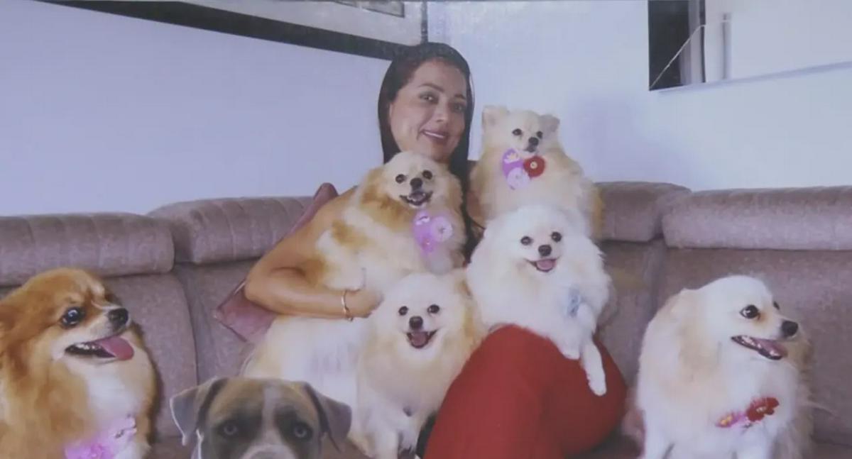 Cali: Familia busca a cinco perros pomeranian robados en asalto