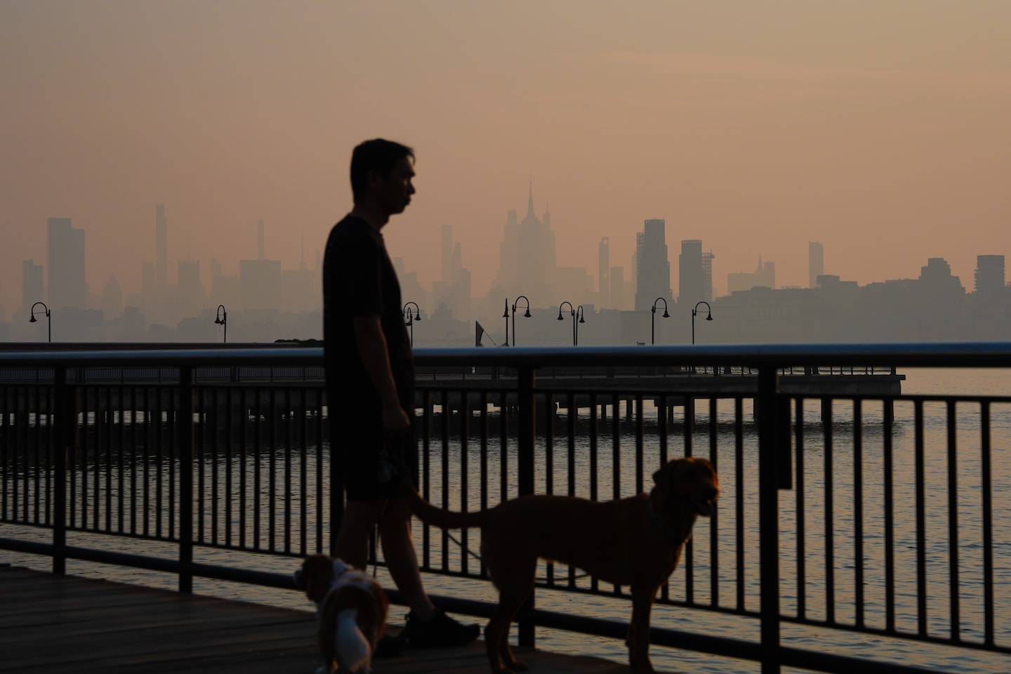 Protecting Pets from Wildfire Smoke: Essential Tips for Pet Owners