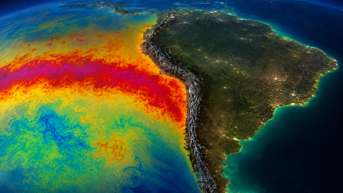 Impacto de las lluvias y precios internacionales en la producción agrícola argentina