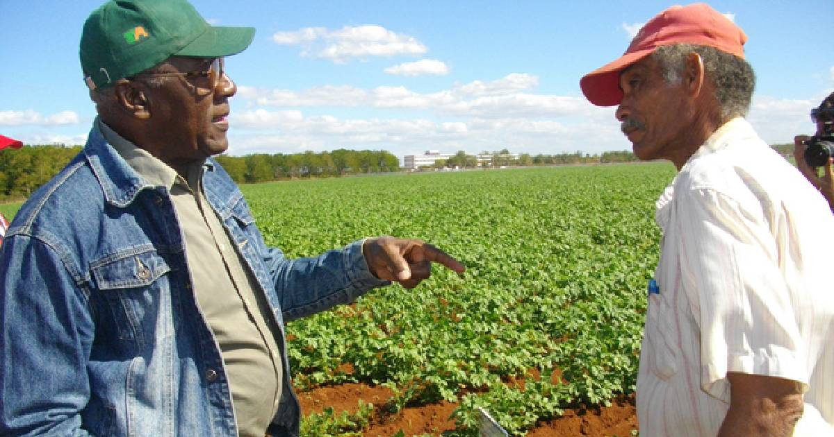 Vicepresidente propone alternativas energéticas para superar crisis agrícola en Cuba