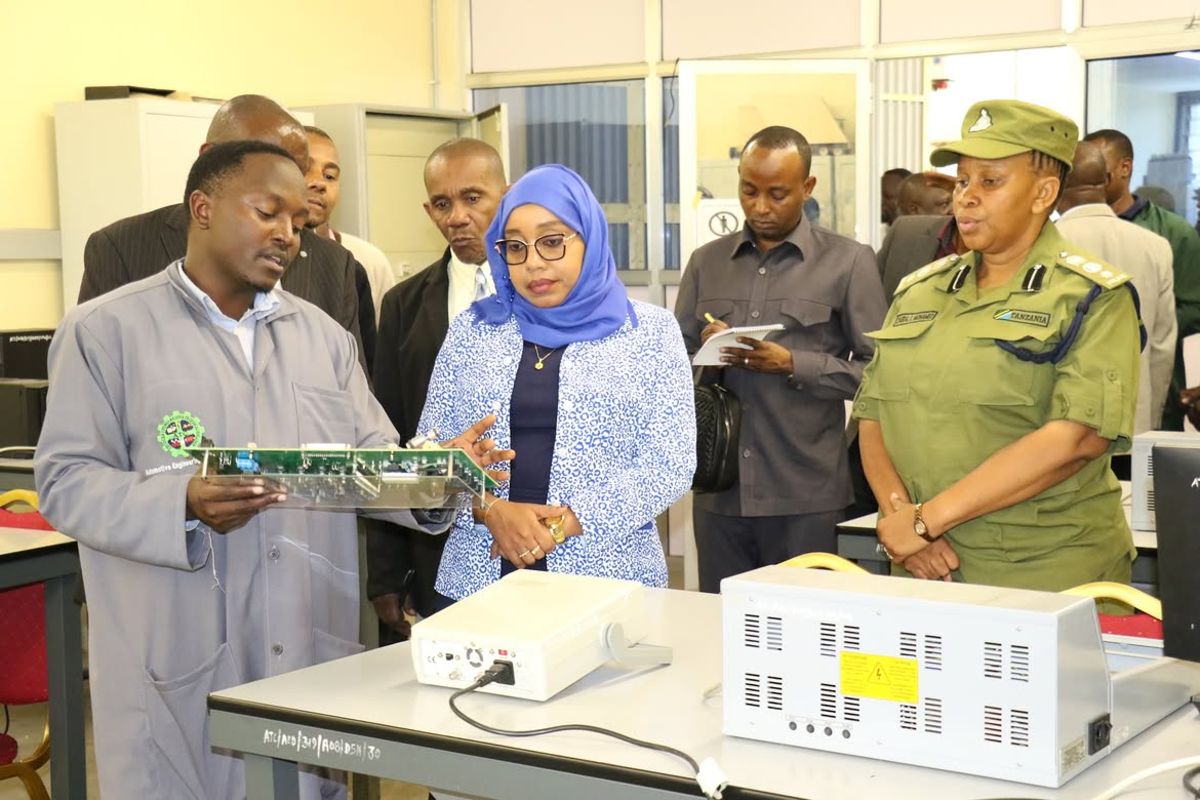 Tanzania Focuses on Urban Greening and Infrastructure Revival