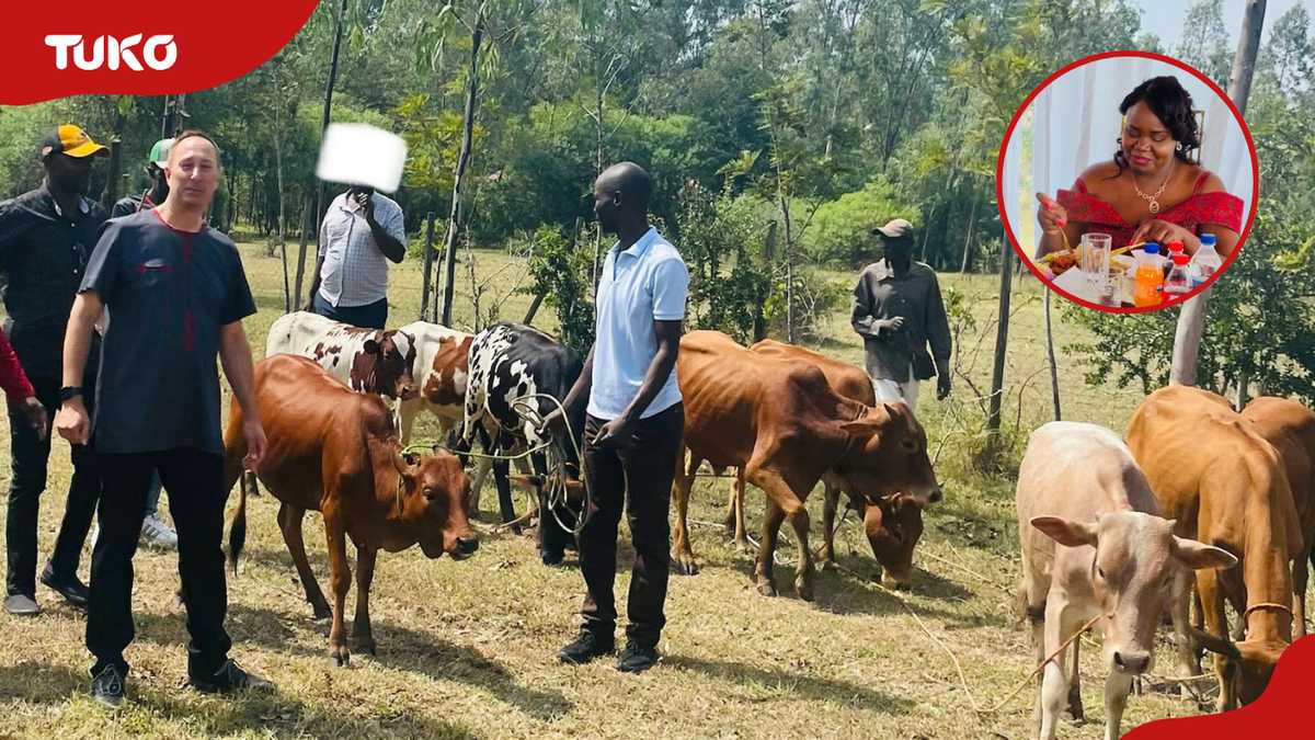 German Groom Adheres to Kenyan Tradition by Walking Cows for Dowry Ceremony