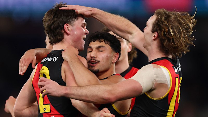 Hawthorn Hawks dominate Richmond in AFL clash
