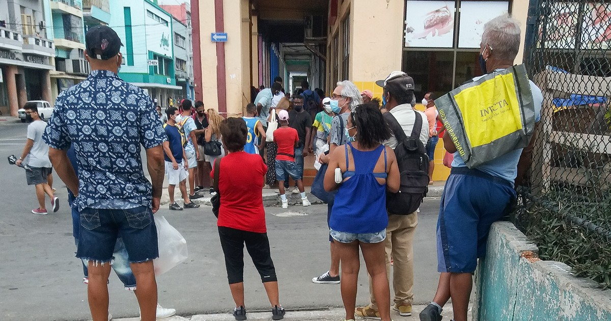 Cuban Academic Analyzes Resilience Amid Economic Crisis