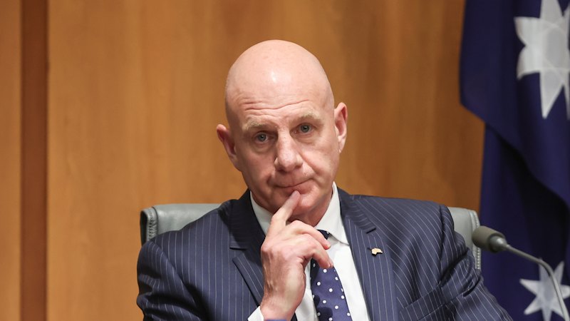 Labor Appoints Ex-Liberal Premier to Promote Multiculturalism Amid Political Tensions