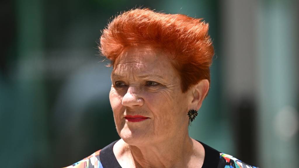 One Nation and Labor Conference in Focus
