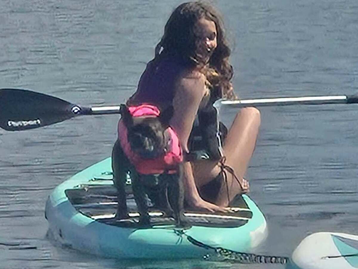 Tragic loss of a family dog and updates on Maya Gebala's recovery from the shooting incident