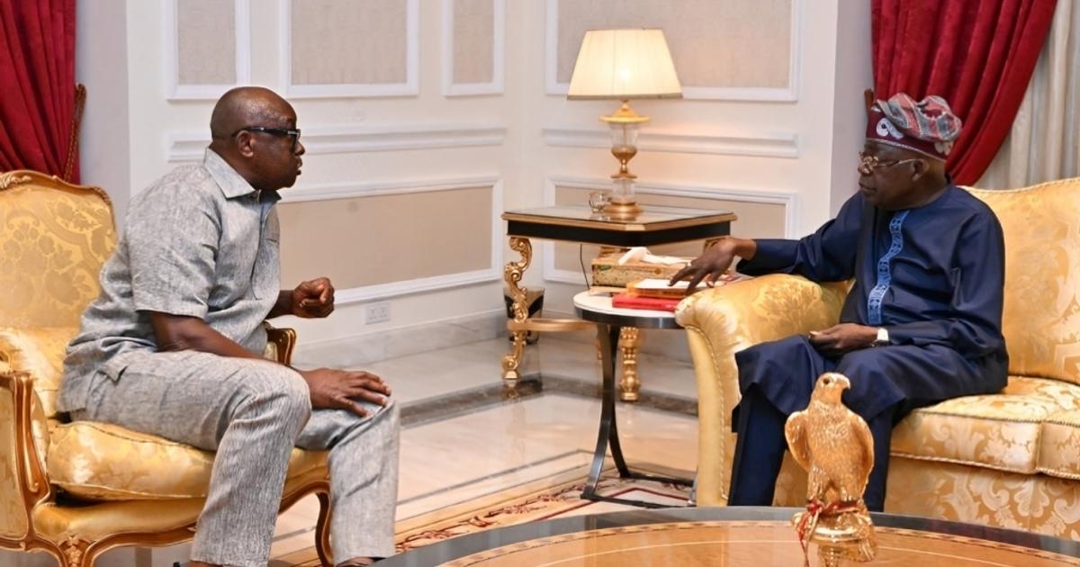 Tinubu reshuffles key agencies with Fayose leading Rural Electrification Agency