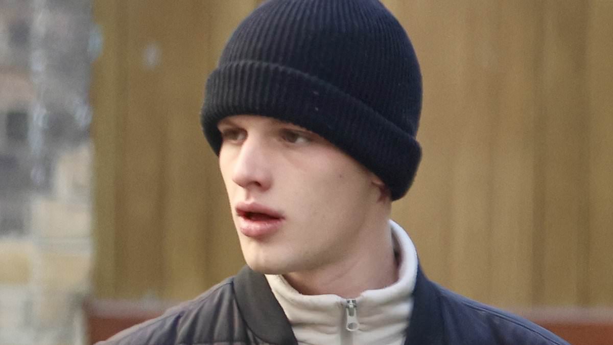 Freddy Brazier and Grandmother Attack by Bulldog: Hospitalization Follows Incident