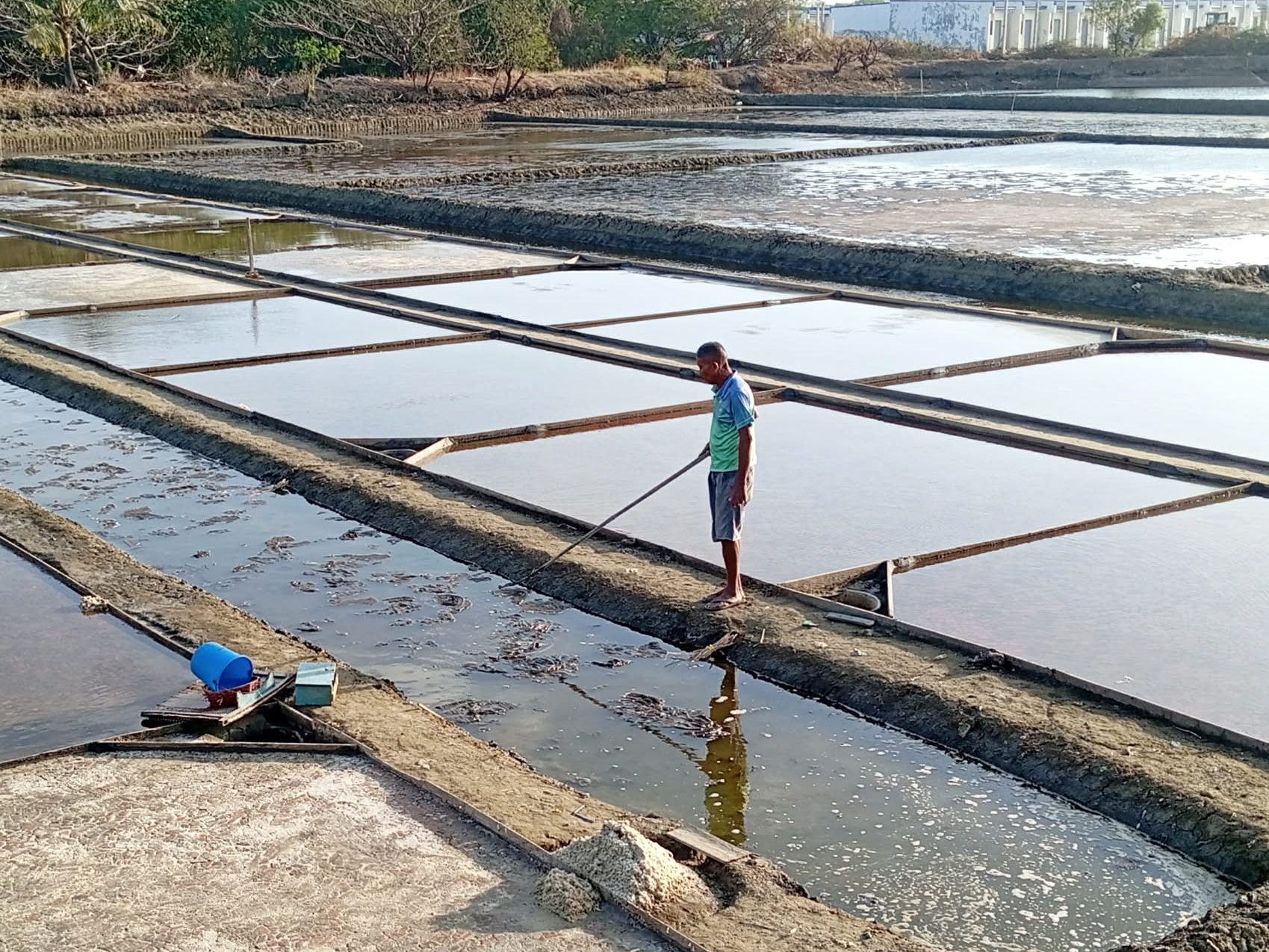 Cavite’s traditional salt makers fight to preserve dying craft amid climate and policy challenges
