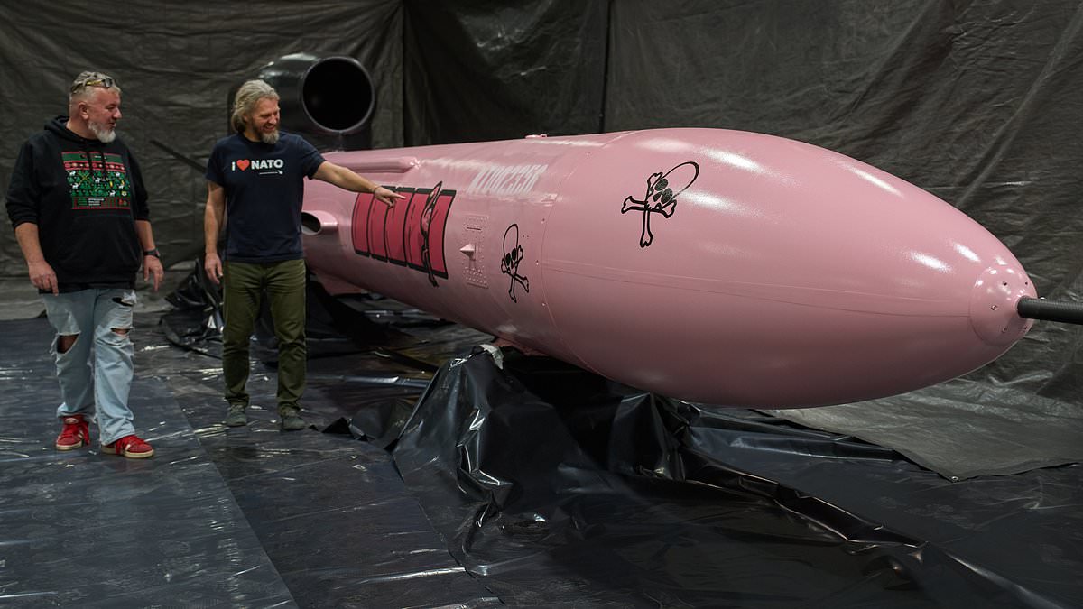 Ukraine's Flamingo missiles redefine battlefield dynamics with long-range precision strikes