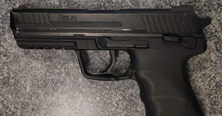 Winnipeg man arrested for waving replica BB handgun through sunroof on Trans-Canada Highway