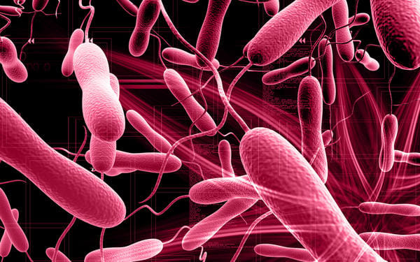 Borno Cholera Outbreak Surpasses 35,000 Cases as MSF Expands Response