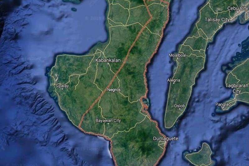 Negros Board Member Faces Charges Over Illegal Online Cockfight Operation