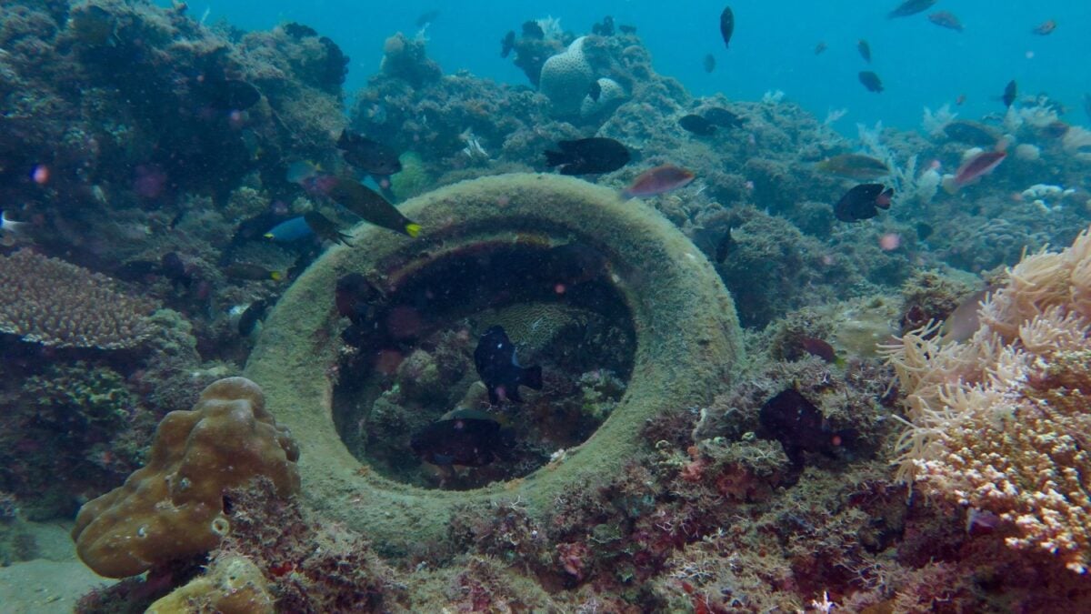 El proyecto de arrecifes artificiales de los años 70 se convirtió en un desastre ambiental