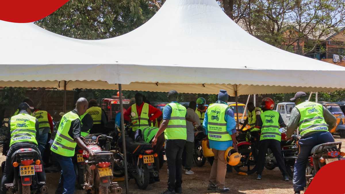 MOGO Kenya Conducts Auction of Over 50 Motorcycles and Tuk-Tuks at KSh 22k Starting Price