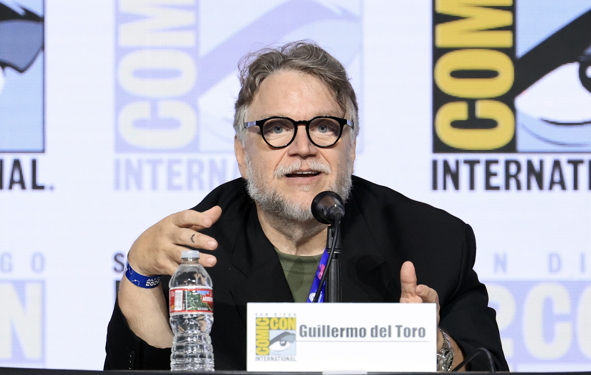 Guillermo del Toro Opposes AI Use in Pan’s Labyrinth Re-release