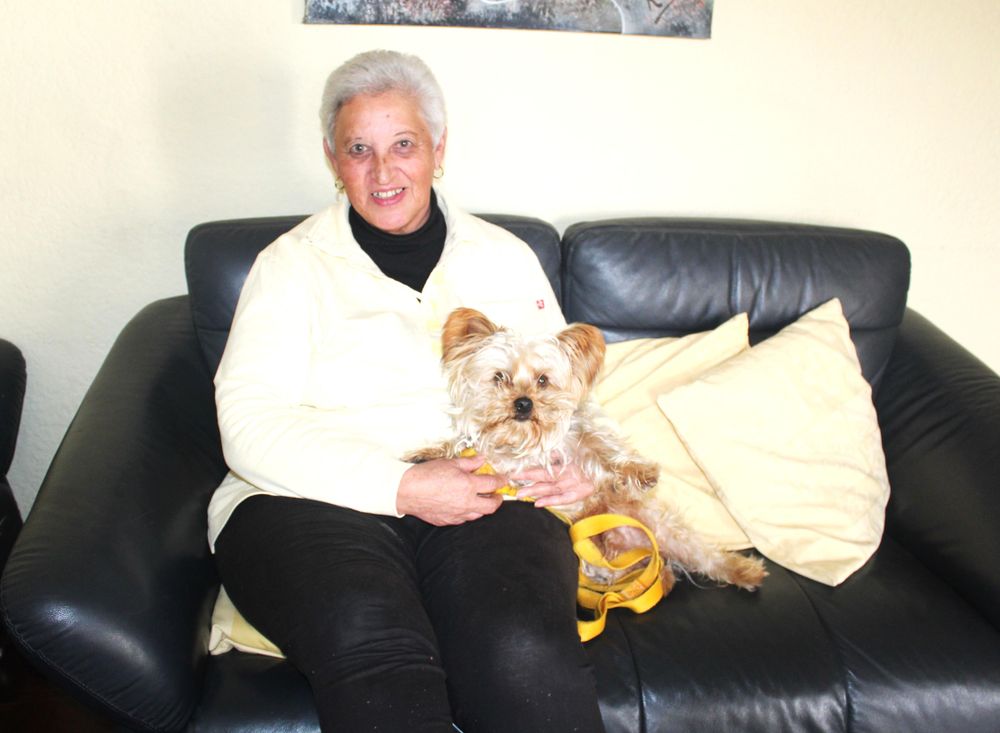Yorkshire terrier returns home for owner's 75th birthday after two months