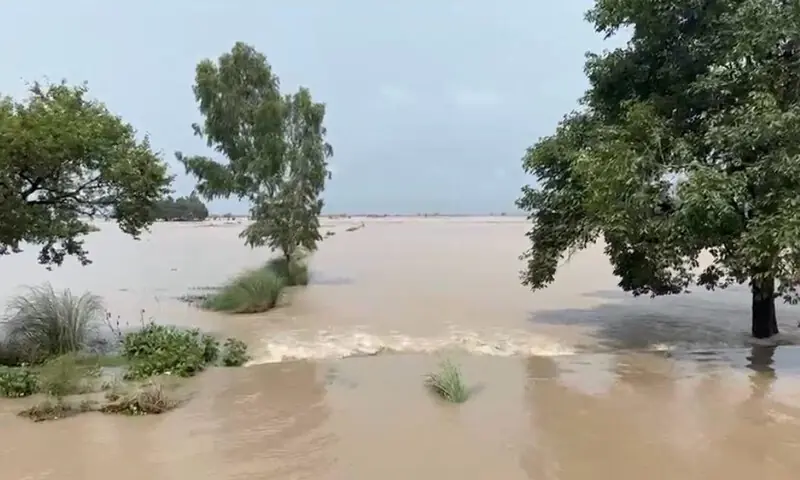 Punjab Faces Medium to High Flood Levels as Ravi and Chenab Rivers Rise
