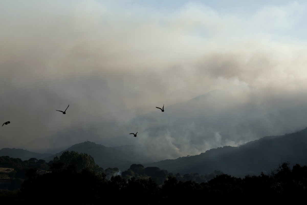 España enfrenta su peor incendio forestal con 50 mil hectáreas afectadas y miles evacuados