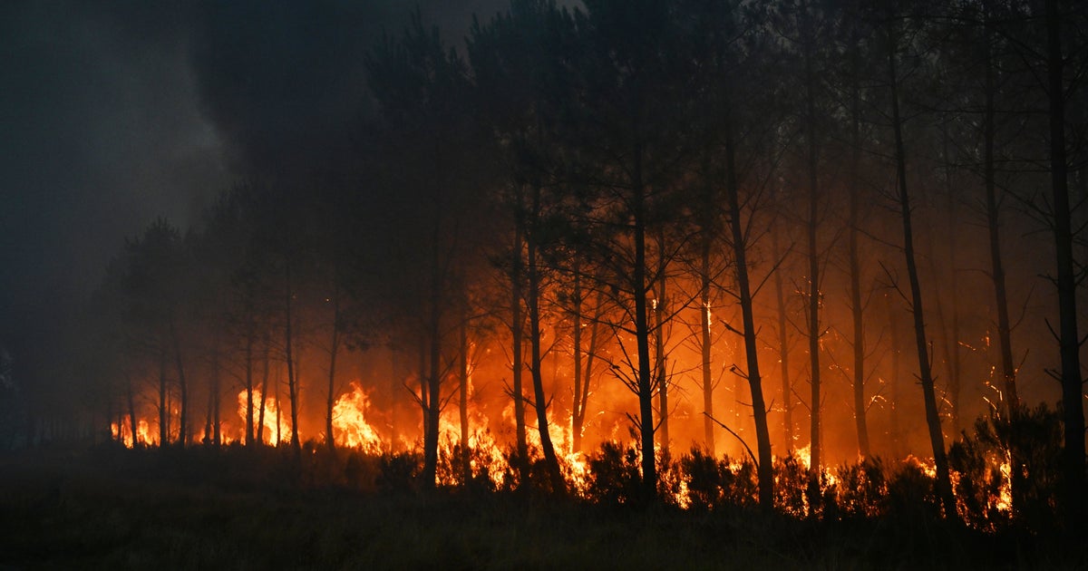 Wildfires Force Over 250,000 Evacuations in France and Spain