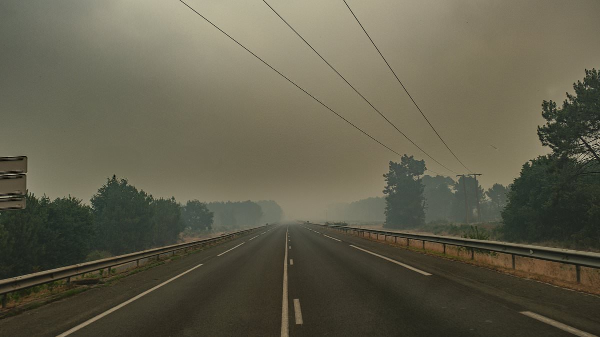 Devastating wildfires destroy luxury homes in France, as media reports first sightings of destruction